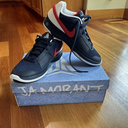 Nike JA 1 (Gonzaga Basketball) Size 8.5 Basketball shoe. (New)