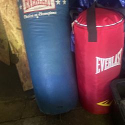 Punching Bags $50 A Piece 