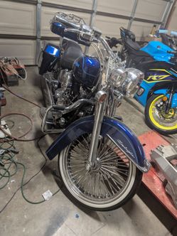 2004 Harley SoftTail Custom