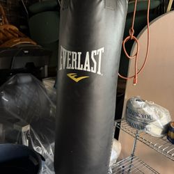 Everlast Punching Bag 