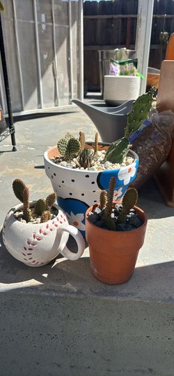 Take all plants 5