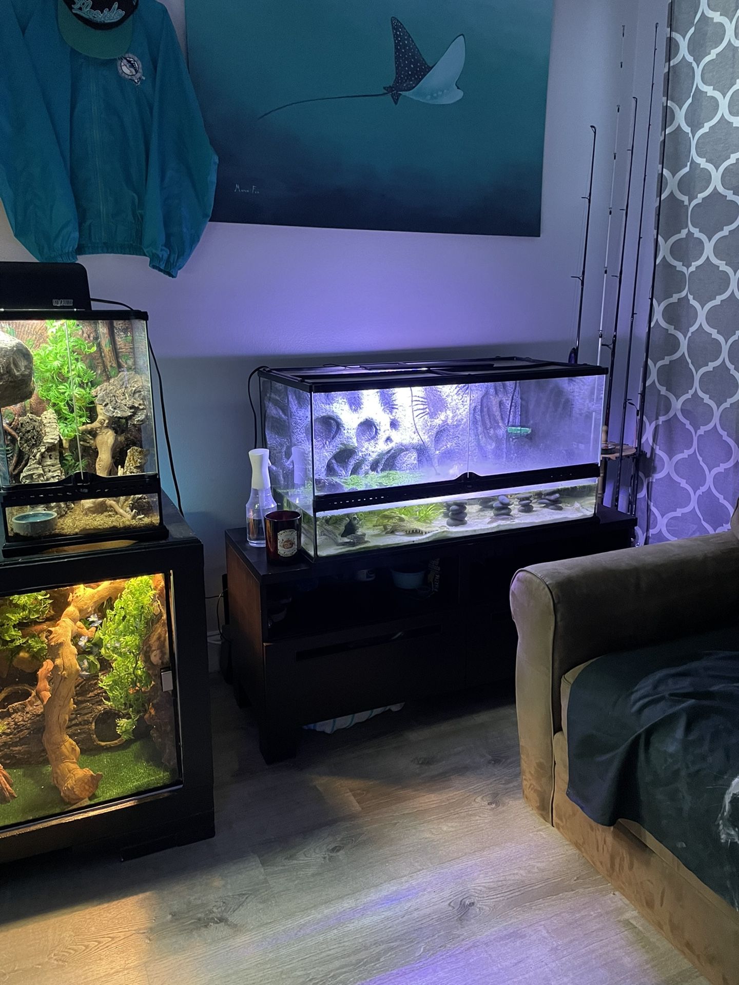 Axolotl tank set up!
