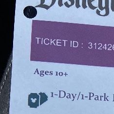 Adult Ticket To Disneyland - Either Park. One Park Ticket 