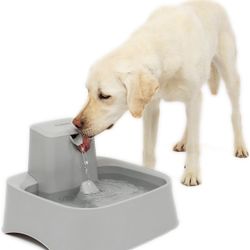 2 Gallon Pet Fountain 