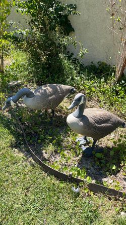 Decor ducks garden