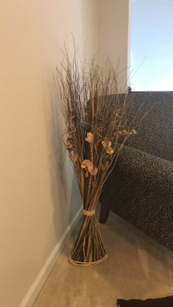 Decorative Grass