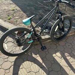 Ryde24 Dirt Jumper Bmx Bike