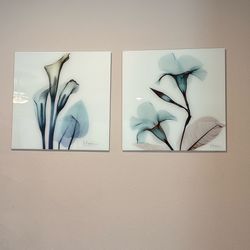 2 Acrylic Floral Artwork 