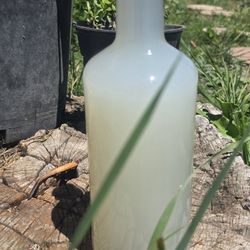 Agua Mil Tierna Y Pulquesito