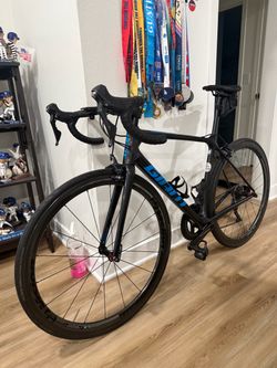 Giant TCR size M