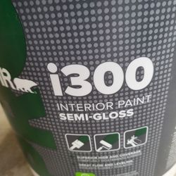 Paint 5 Gallon Bucket