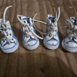 Dog Shoes Xs