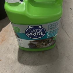 Cat Litter 10 Lb 