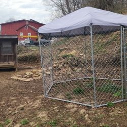 Kennel Runner Roost Enclosure