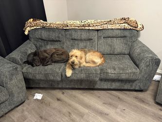 Couch set