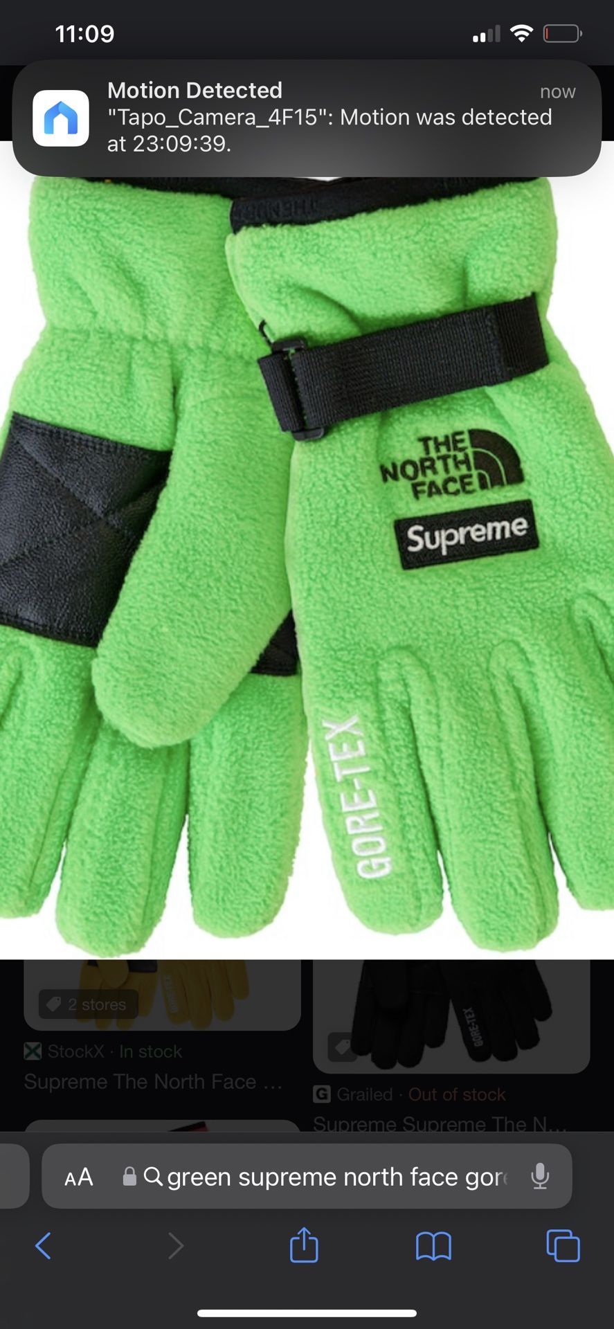 Supreme /north Face