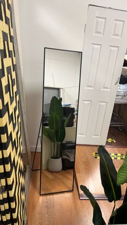 Mirror
