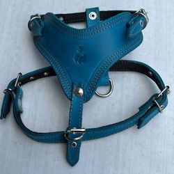 Leather Harness
