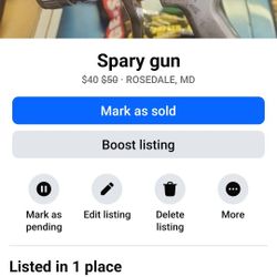 Spray Gun