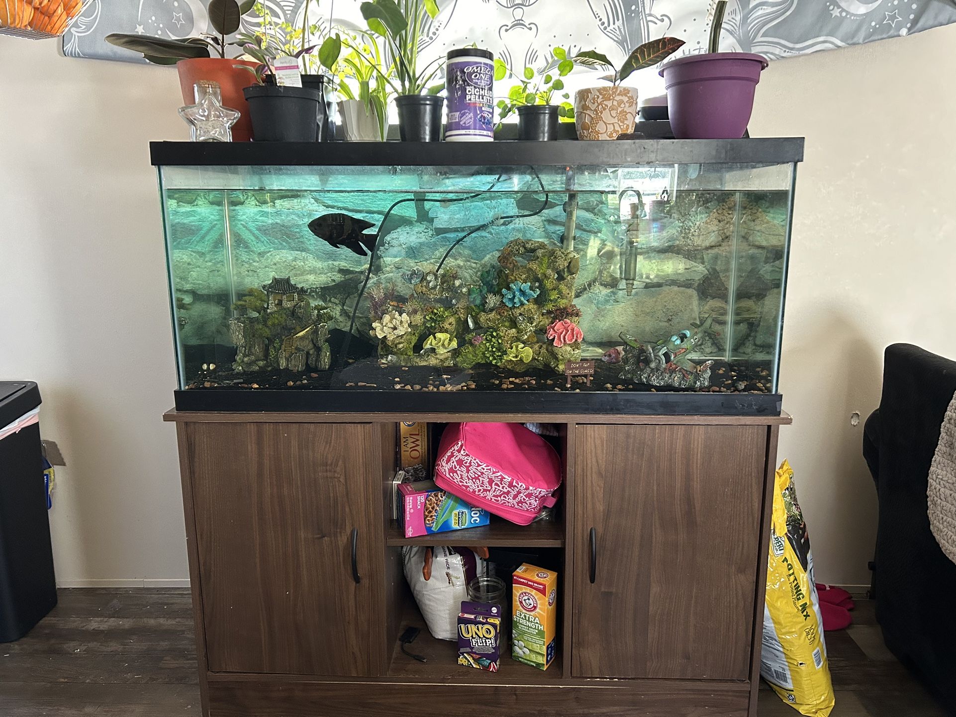 75 Gallon Fish Tank 