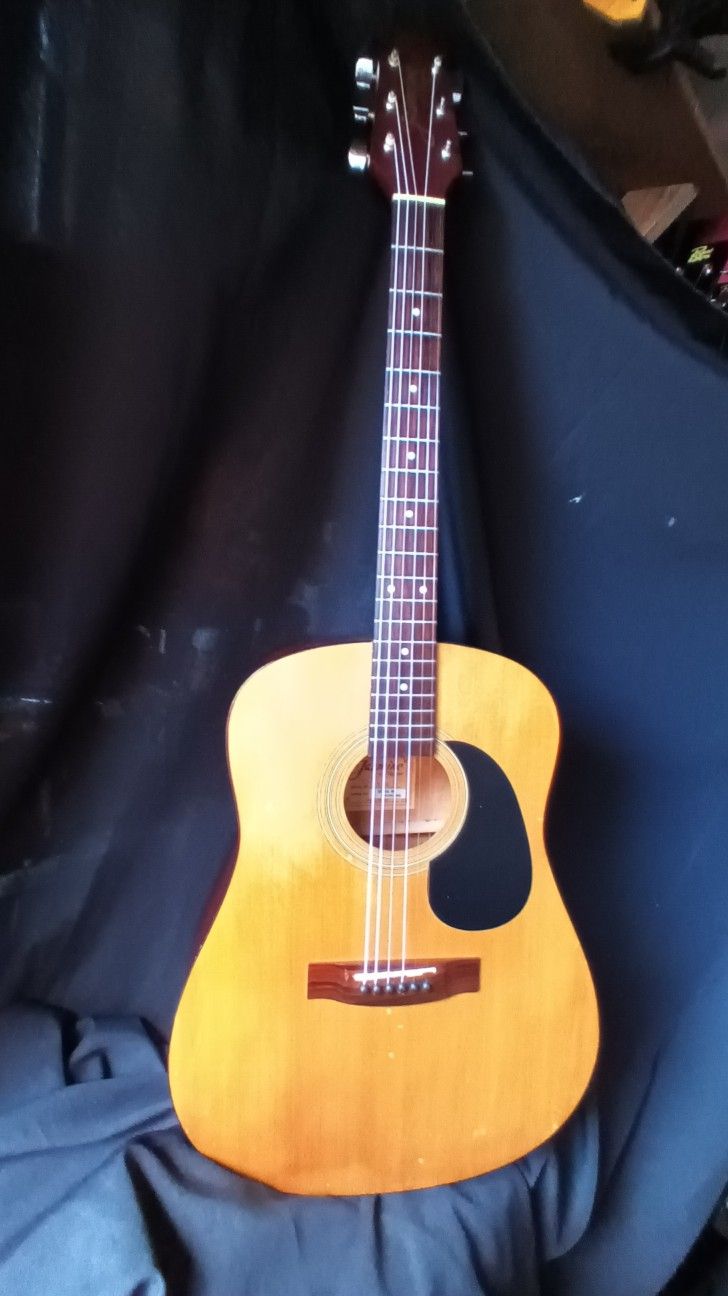 Jasmine By Takamine Guitar