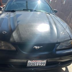 1995 Mustang Gt