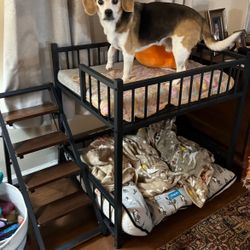 Dog Loft Bunk Beds 