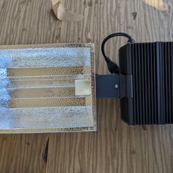 efinity 315w light with Philips Bulb