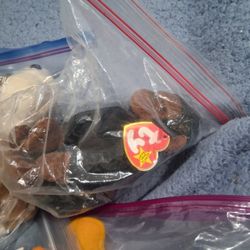 Collectable Beanie Baby Worth 100s Of Dollars Just Don't Have The Time Because Im On Dialysis And Need My Medication 