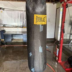 Punching Bag