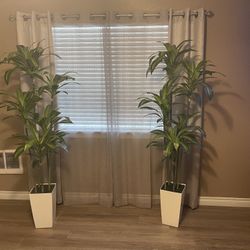 Beautiful, New 2 Tall Standing Plant/Trees 7’