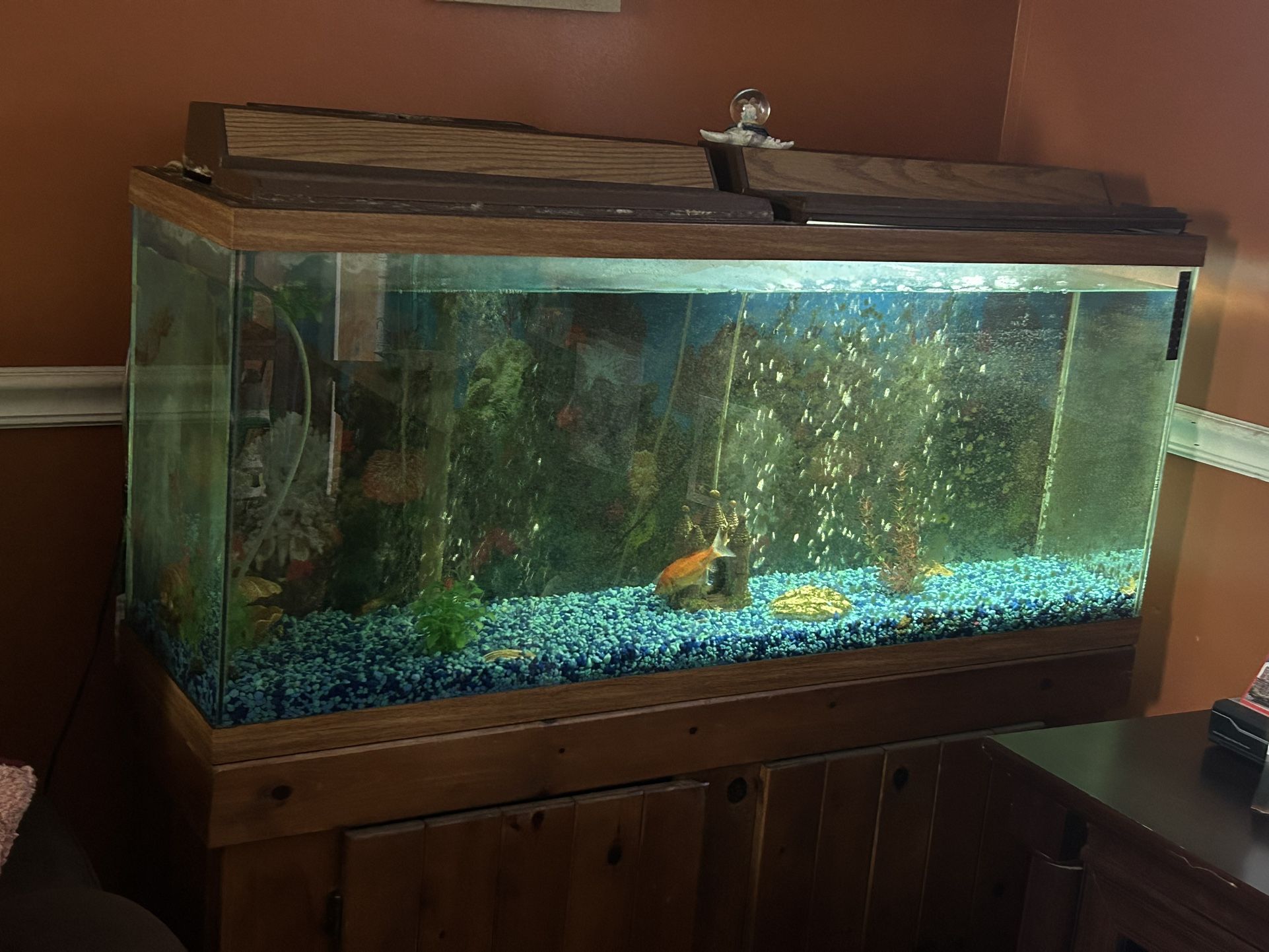 Fish Tank with stand