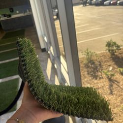 $1.49 sale on Turf/Zacate