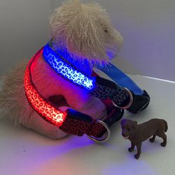 2 LED Light Up Dog Collar In Red & Blue - Size Medium