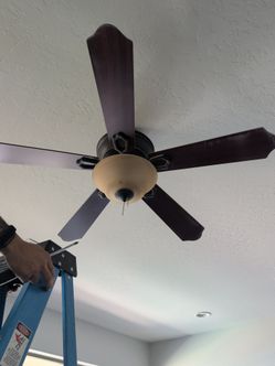 Ceiling fan