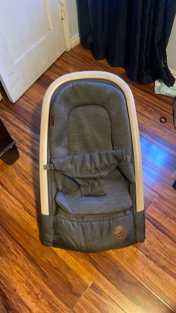 2 in 1 bouncer seat