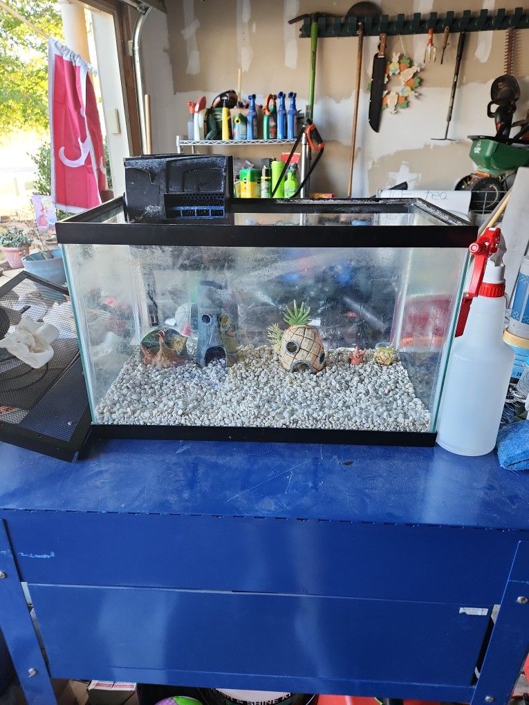 20 Gallon Fish Tank