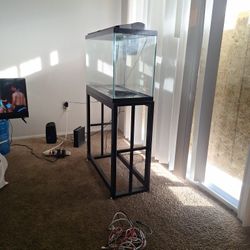fish tank
