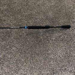 Shimano Fishing Pole
