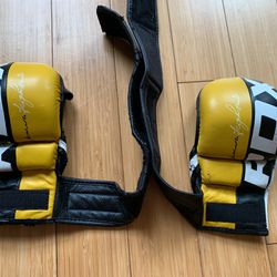 Gloves for martial Arts