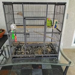 Parrot Cage