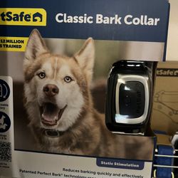 PET NEEDS AND MUST HAVES 