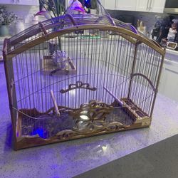 Canary cage 