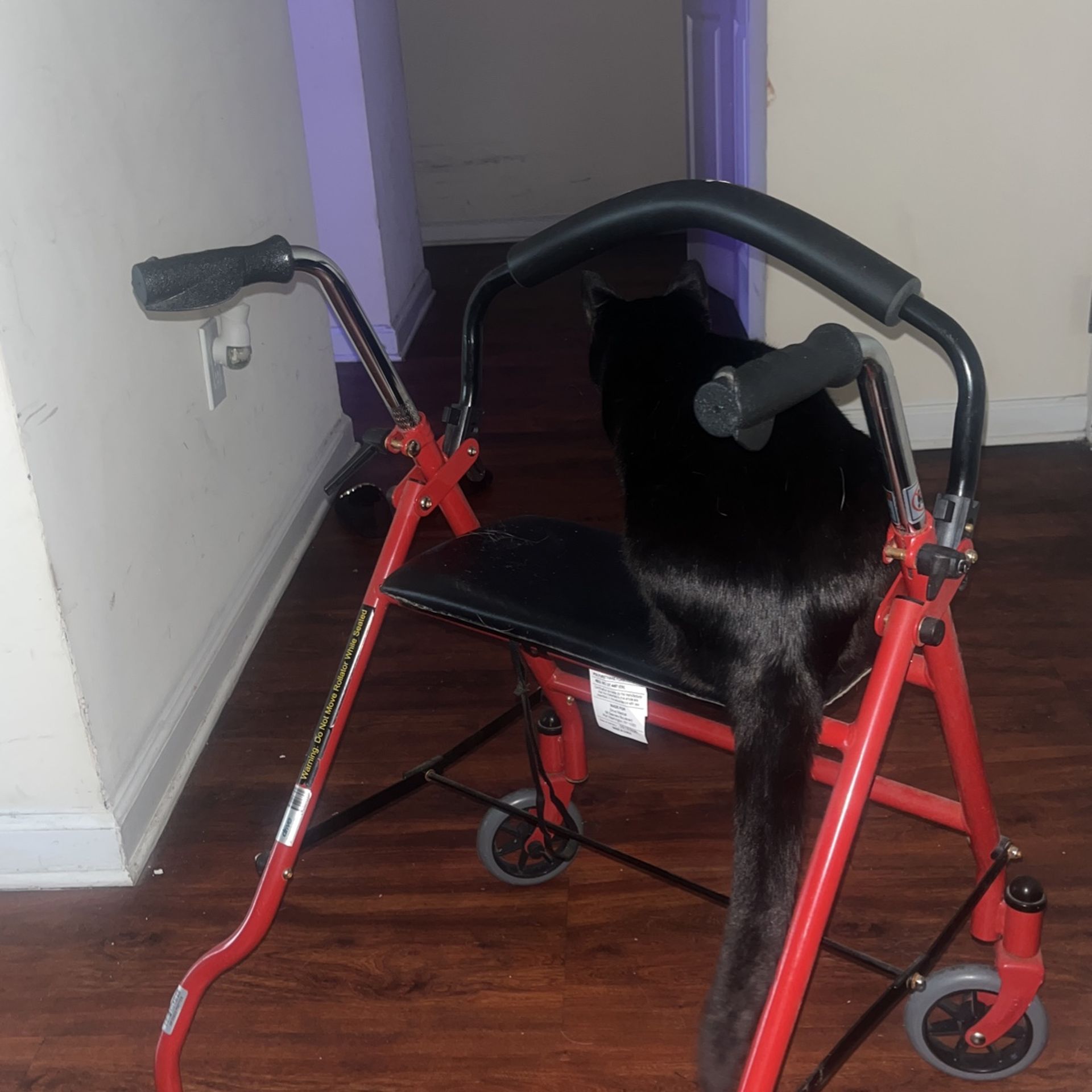 Rolling Walker