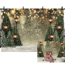 Christmas Photo Backdrop