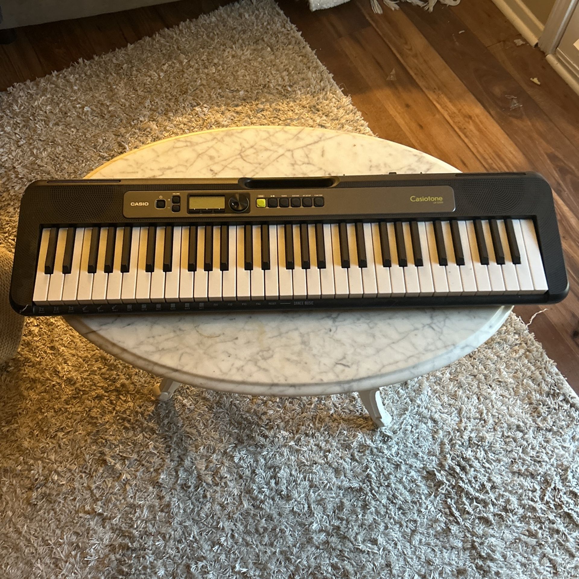 Casiotone LK-S250 (Keyboard + Stand)
