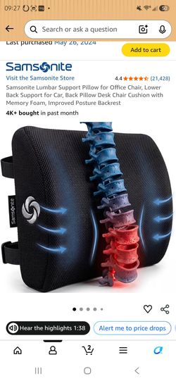 Used excellent condition lumbar pillow