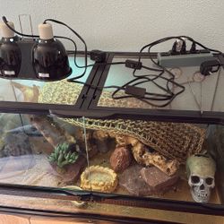 Reptile Enclosure Tank With All Equipment Included For $100