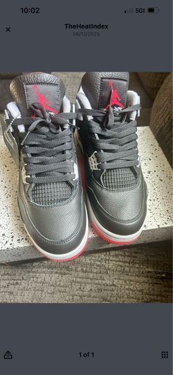Jordan 4 Bred reimagined Size 10.5