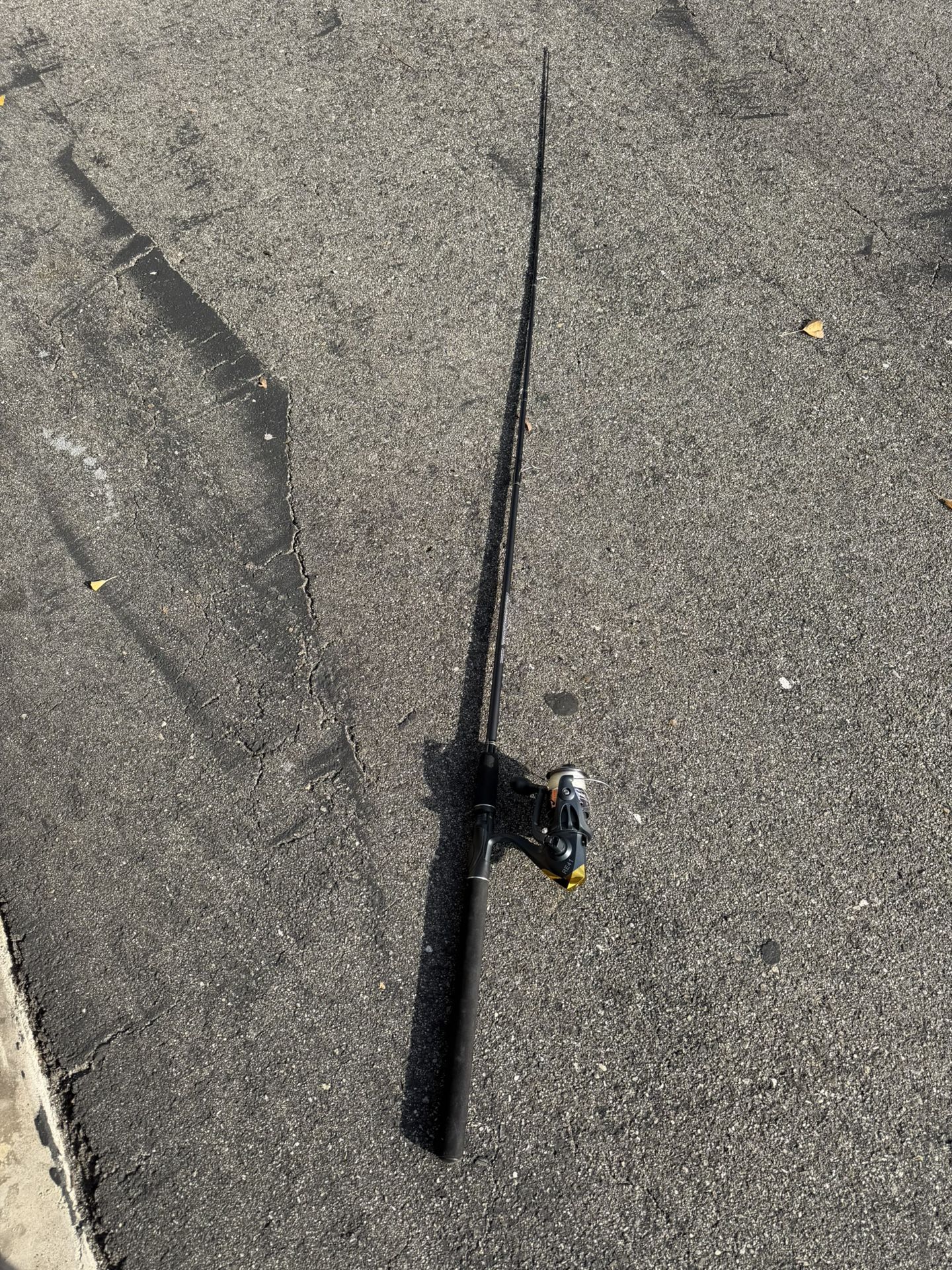 Roddy Fishing Pole